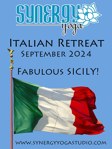 Synergy Italian Retreat 2024.jpg